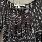 Max Studio  Polka Dot‎ Dress Photo 1