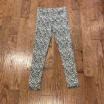 American Eagle  leopard high rise jegging jean 4 Photo 3