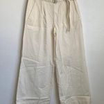 Everlane NEW  The Pleated Wide-Leg Chino in Bone White Belted Photo 1