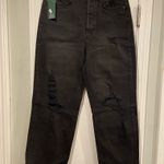 Wild Fable NWT Size 6 Highest Rise Straight Leg Black Distressed Jeans Raw Hem Photo 0