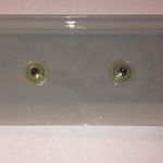 Vintage Silver Tone Retro Boho Wing Pierced Earrings Photo 6