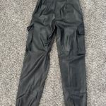 Pitaya Leather Joggers Photo 2
