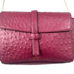 Kate Spade Emmie Ostrich Embossed Crossbody Purse Gold Chain Burgundy Leather Photo 0