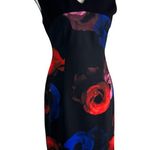 Ellen Tracy Blooms Multi Floral Sleeveless Dress Black Size 6 Photo 2