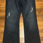 James Jeans  Jimmy Skinny Dip Dis Size 31 Petite Photo 0