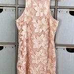 Lovers + Friends  peach lace mini dress Photo 0