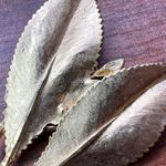 Vintage Double Leaf Clasp Pinless Brooch Pin Gold Tone Photo 3