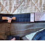 sts blue  Aubrey Denim Shorts Distressed Frayed Hem Mid Rise Blue Wash Size‎ 30 Photo 2