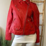 Philosophy Red Vegan Leather Moto Jacket Medium Photo 1