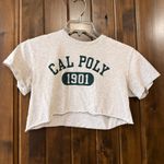 Original League Cal Poly Crop Photo 0