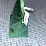 Clinique  Metallic Green Cosmetic Bag Photo 3