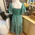 Tuckernuck PINK CITY PRINTS  Tropical Punch Lolita Stripes Green Dress Size Small Photo 5
