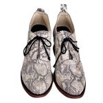 FREEBIRD by Steven Freebird ‘Sadie’ Beige Snakeskin Embossed Leather Heeled Oxfords, Size 8 Photo 4