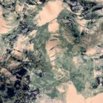 Zelos Shorts Large Photo 2