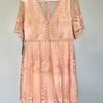 Haute Monde Peach Lace Dress Photo 0