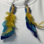 Parrot Feather Earrings Blue Photo 0