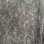 Wild Fable Cropped black distressed style T shirt Photo 2