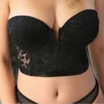 Fantasy Lingerie Midnight Garden Black Lace Bustier Crop Top L/XL NWT Size L Photo 0