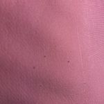 Fairway & Greene Light Pink Golf Skorts Size 2 Photo 2