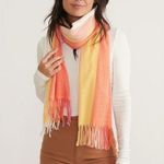 Marine layer  Archive Stripe Scarf OS NEW Photo 0