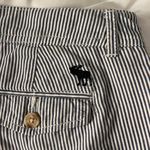 Abercrombie & Fitch Shorts Photo 3