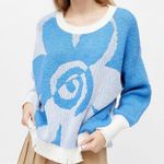 Urban Outfitters brand new  sweater Photo 0