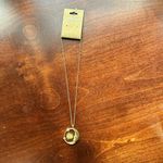 NWT Gold Tone Crescent Moon Real Dried Pressed Flower Daisy Necklace Photo 2