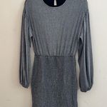 Pink Lily  | Silver Smoked Long Sleeve Dress Photo 2