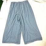 Alex Evenings  flowy chiffon wide leg pants 3X lined Photo 2