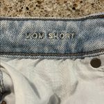 American Eagle  Outfitters Light Blue Ripped Mom Jean Shorts size 4 Photo 2