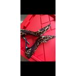 Diane Von Furstenberg  Leopard Print Mesh Pointed Stiletto Heels Pumps Shoes 10 Photo 5