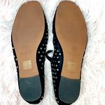 Madewell Crystal Embellished Greta Ballet Flat Size 6 NO283 Photo 16