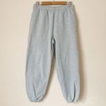 TNA Aritzia Sweatfleece Mega Fit gray sweatpants Size M Photo 1
