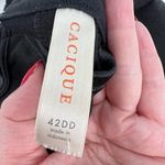 Cacique by Lane Bryant black non molded t-shirt comfort bra plus size 42DD Photo 1