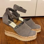 Dolce Vita Parle Ankle Strap Wedge Sandals Size 10 New without Box Gray Photo 0