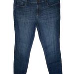 Loft Medium Wash Modern Skinny Jean Size 16 Photo 0