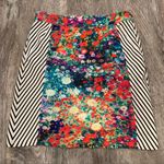 Tabitha from Anthropologie Meadow Floral and Striped Lined Pencil Skirt Size 16 Blue Photo 9