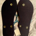 Vera Bradley  Flip Flops Go Blue Fish size L Photo 1