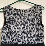 🌞Alyx Black Leopard Drape Neck Sleeveless Shift Dress Size 6 Photo 6