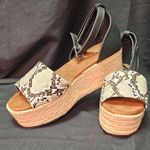 NWT Chic Black and Cream Espadrille Wedges with Snakeskin Pattern Size undefined Photo 0