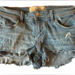 Hollister  Boy short -  Size 1 Jean Shorts Photo 0