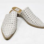 [DV Dolce Vita] Ismenia Cream Studded Pointed Toe Slip On Mules Flats Size 8.5 Photo 4