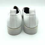 Everlane  Shoes The Leather Street Shoe Slip on Sneakers Peforated White Size 8 Photo 5