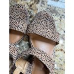 American Eagle  Tan Leopard Animal Print Ankle Strap Open Toe Shoes 8 Photo 6