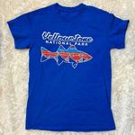 YELLOWSTONE NATIONAL PARK TEE Blue Photo 0