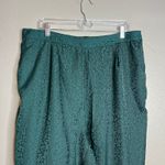 Skies Are Blue  Wide Leg Pant Size 1X Pull‎ On Satin Hunter Green Leopard NWT Photo 1