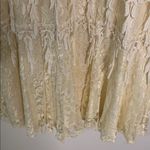 Chic Cream Lace Long Sleeve Dress Size 22W Photo 8
