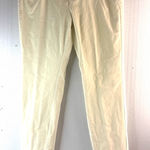 Garnet Hill  10P Cream Straight Leg Velvet Low Pile Velour Pants - Petite Photo 0