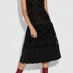 Coach 335  Floral Devore Dress Size 4 Color Black Photo 1