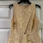 Pamela Love x Rent the Runway Antique Lace Dress Size Large Sleeveless Girly Photo 5